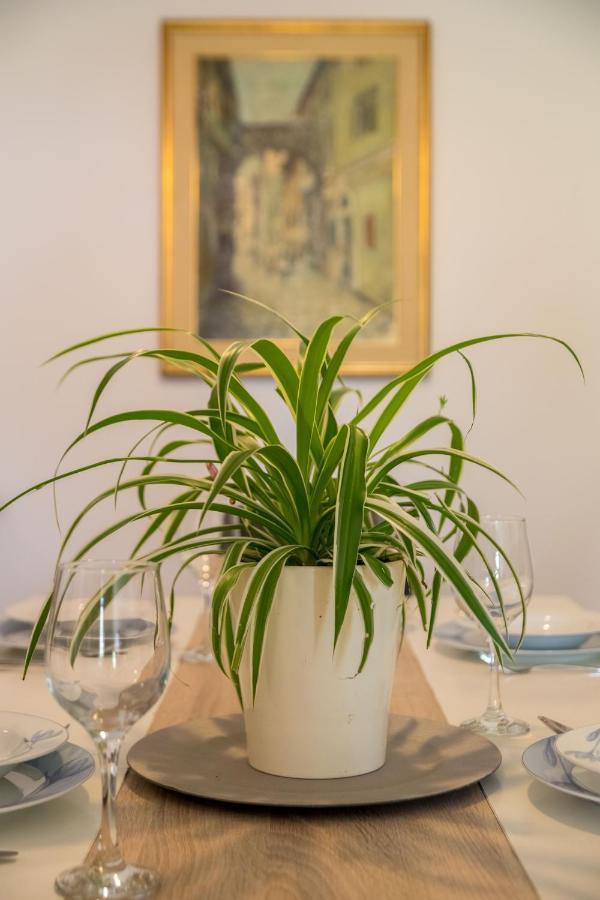 Terra Magica Deluxe Apartment Or Room With Private Parking, Terrace And Sea View Rijeka Buitenkant foto